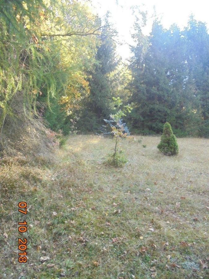 Wójtówka 16 Vila Lądek-Zdrój Exterior foto